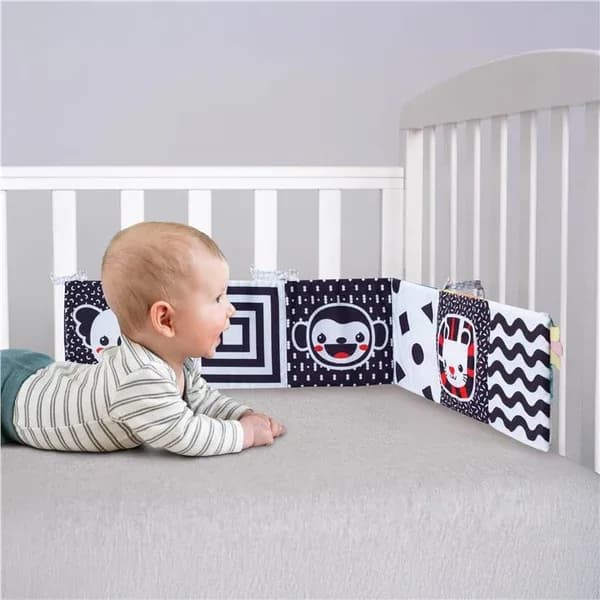 Infantino Babybok 2